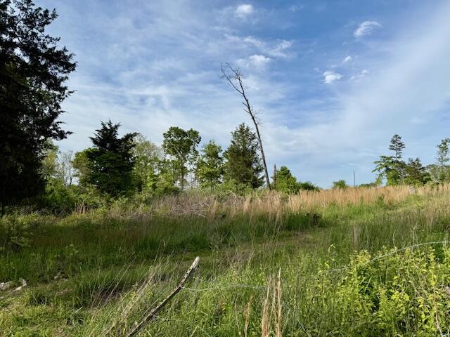 9386 County Road 2660, West Plains, MO 65775 - photo 45