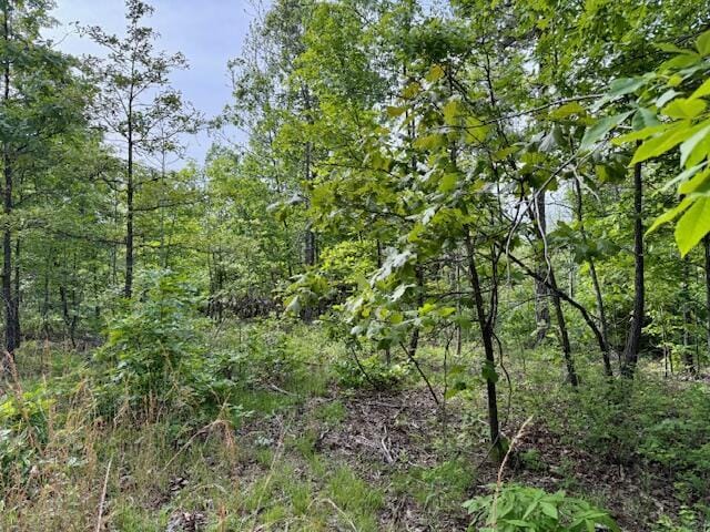 9386 County Road 2660, West Plains, MO 65775 - photo 40