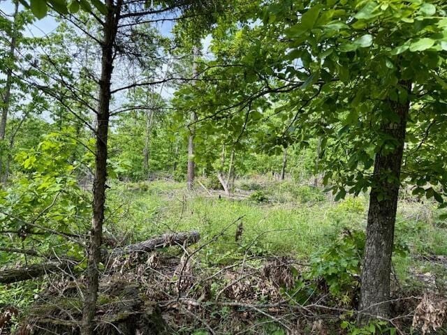 9386 County Road 2660, West Plains, MO 65775 - photo 43