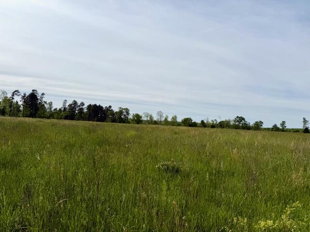 9386 County Road 2660, West Plains, MO 65775 - photo 39