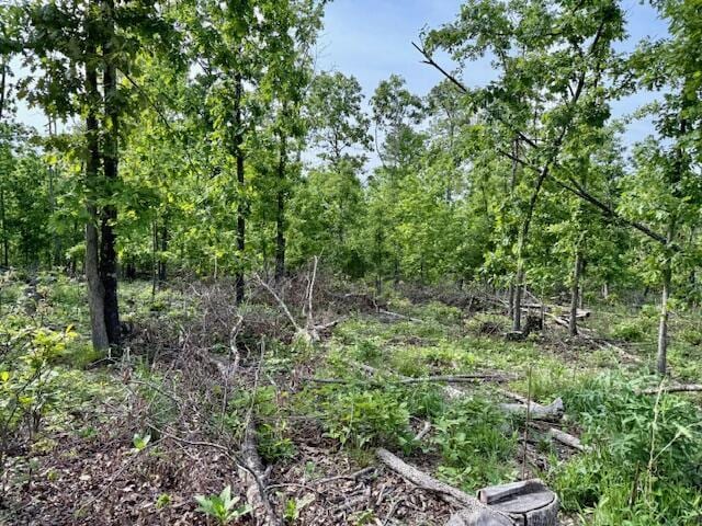 9386 County Road 2660, West Plains, MO 65775 - photo 41