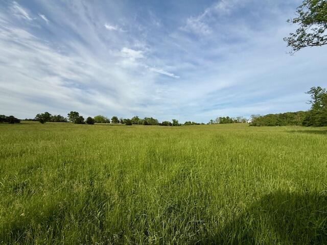 9386 County Road 2660, West Plains, MO 65775 - photo 36