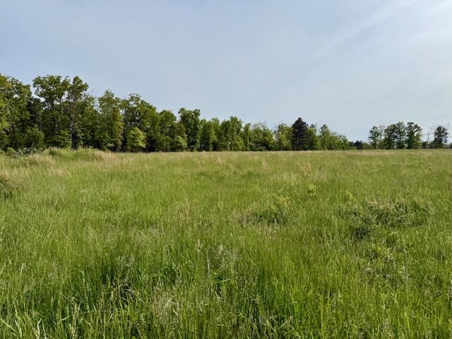 9386 County Road 2660, West Plains, MO 65775 - photo 37