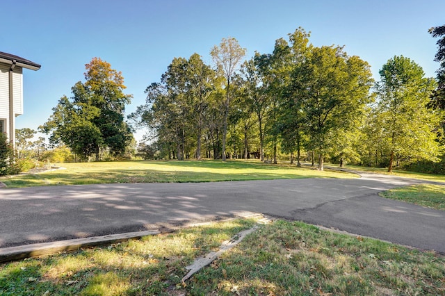 1511 E Groves Dr, Ozark, MO 65721 - photo 34