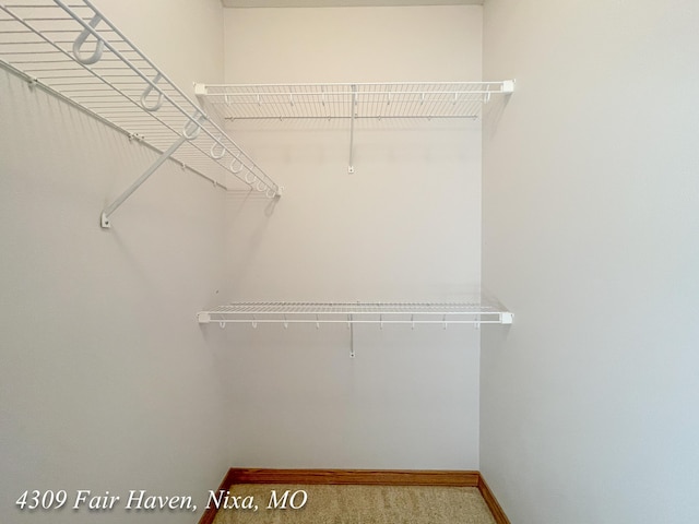 4309 Fair Haven Dr, Nixa, MO 65714 - photo 54