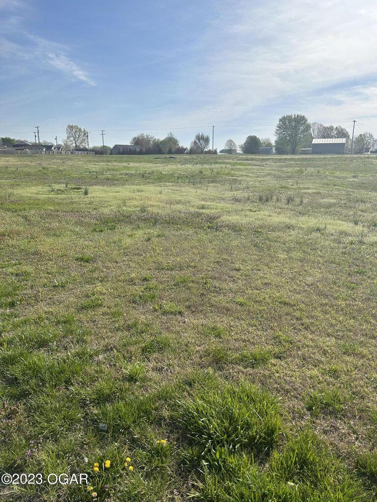000 96th Hwy, Oronogo, MO 64855 - photo 2