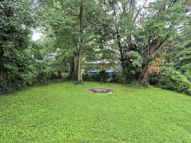 1917 S Weaver Ave, Springfield, MO 65807 - photo 13