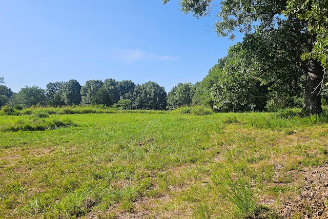 000 County Road 643, Theodosia, MO 65761 - photo 7