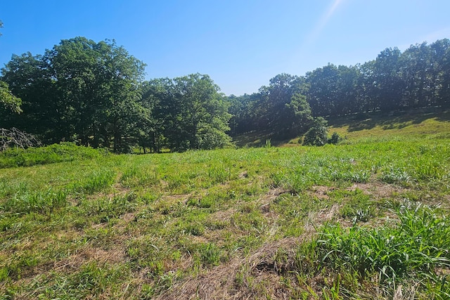 000 County Road 643, Theodosia, MO 65761 - photo 10