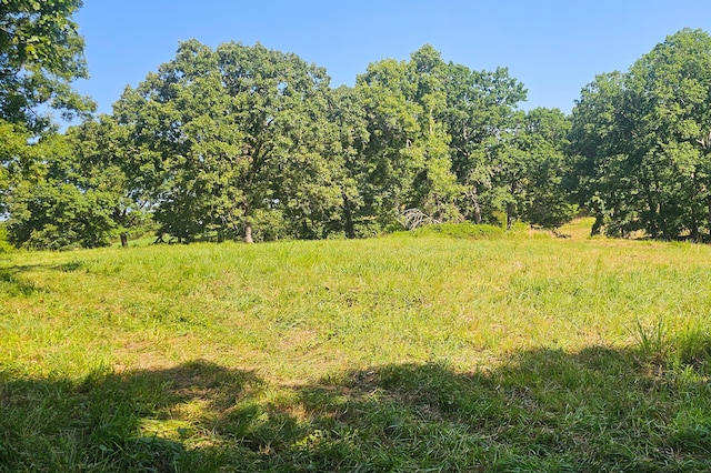 000 County Road 643, Theodosia, MO 65761 - photo 13