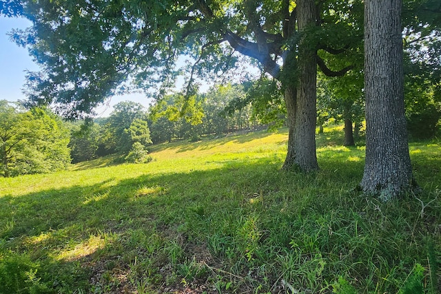 000 County Road 643, Theodosia, MO 65761 - photo 4