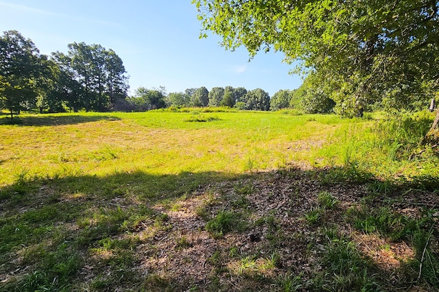 000 County Road 643, Theodosia, MO 65761 - photo 9