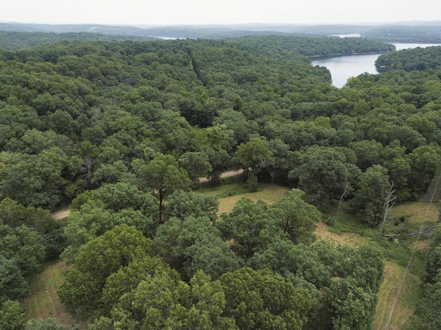 000 County Road 643, Theodosia, MO 65761 - photo 3