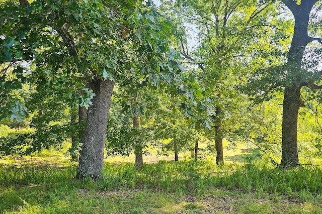 000 County Road 643, Theodosia, MO 65761 - photo 5