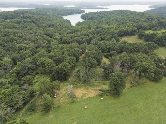 000 County Road 643, Theodosia, MO 65761 - photo 2