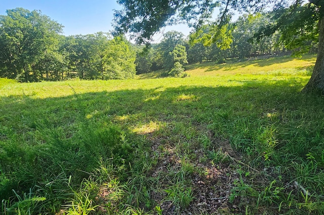 000 County Road 643, Theodosia, MO 65761 - photo 8