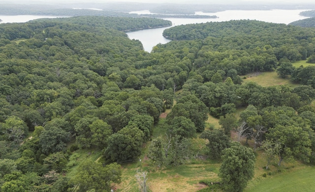 000 County Road 643, Theodosia, MO 65761 - photo 1
