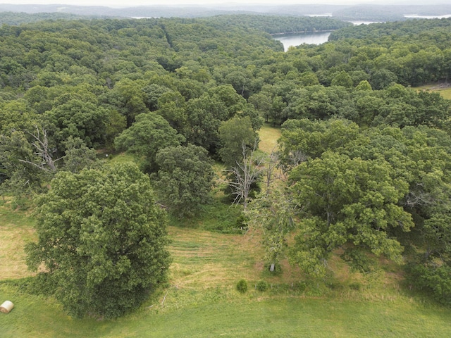 000 County Road 643, Theodosia, MO 65761 - photo 15
