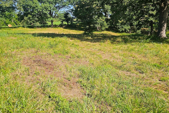 000 County Road 643, Theodosia, MO 65761 - photo 21