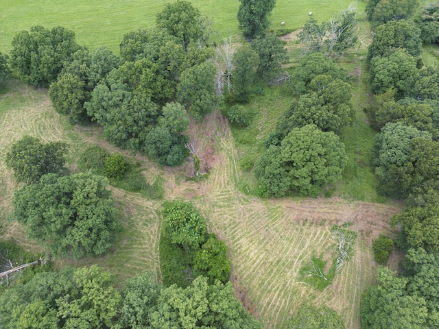 000 County Road 643, Theodosia, MO 65761 - photo 18
