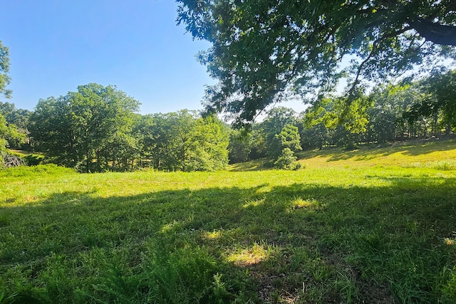 000 County Road 643, Theodosia, MO 65761 - photo 20