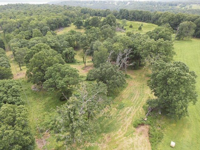 000 County Road 643, Theodosia, MO 65761 - photo 16