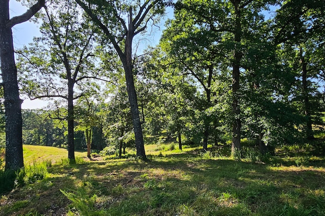 000 County Road 643, Theodosia, MO 65761 - photo 25