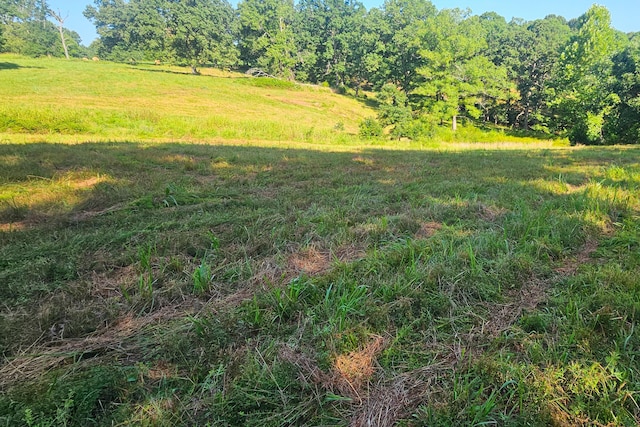 000 County Road 643, Theodosia, MO 65761 - photo 23