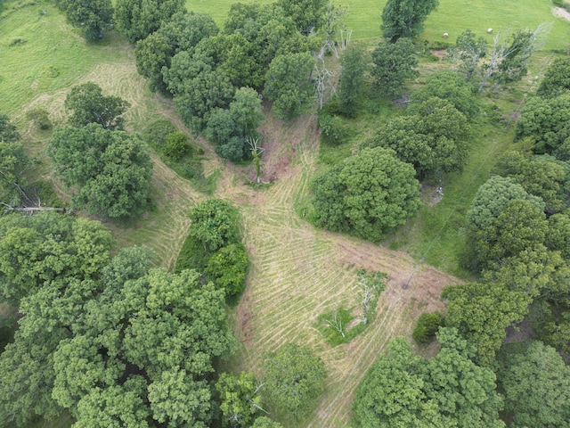 000 County Road 643, Theodosia, MO 65761 - photo 17