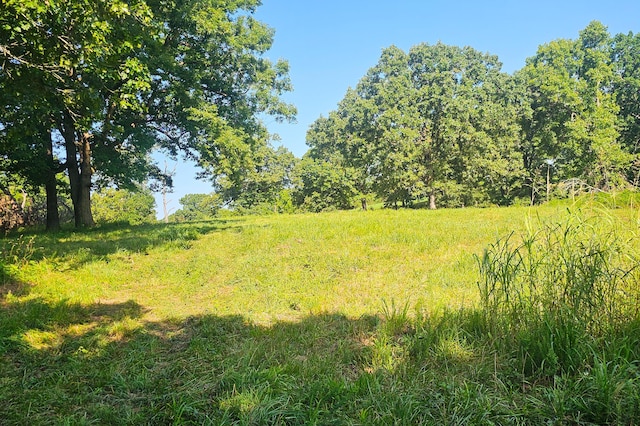 000 County Road 643, Theodosia, MO 65761 - photo 22