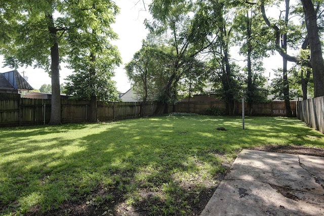1753 S Jefferson Ave, Springfield, MO 65807 - photo 8