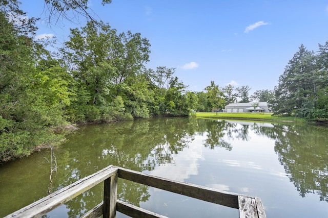 111 Bobcat Ct, Forsyth, MO 65653 - photo 24