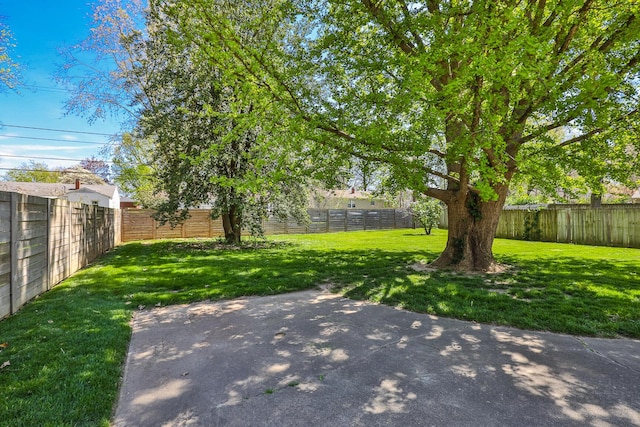 1344 S Fairway Ave, Springfield, MO 65804 - photo 31