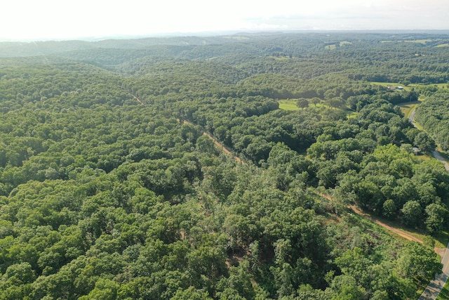 000 State Highway C, Cassville, MO 65625 - photo 9