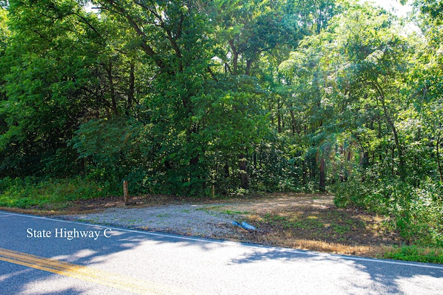 000 State Highway C, Cassville, MO 65625 - photo 3