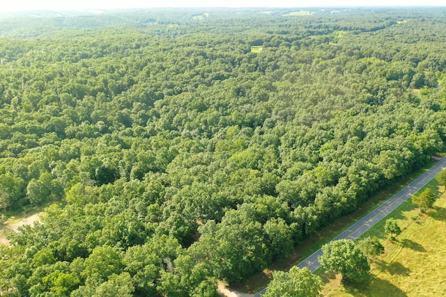 000 State Highway C, Cassville, MO 65625 - photo 15