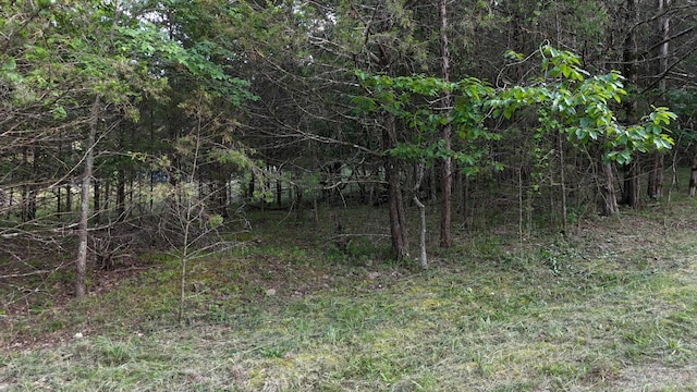 000 E Mockingbird Dr, Golden, MO 65658 - photo 10