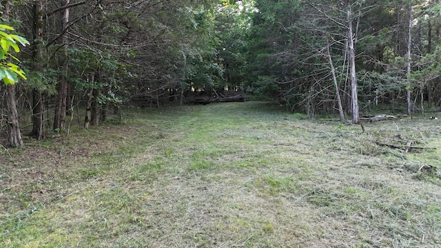000 E Mockingbird Dr, Golden, MO 65658 - photo 1