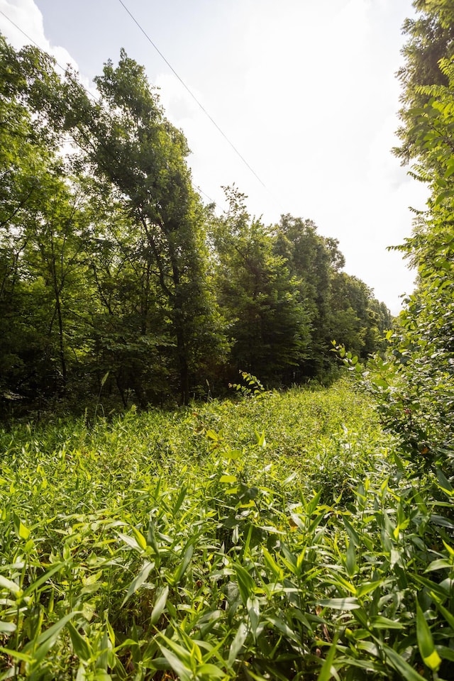 TBD Goat Rd, Niangua, MO 65713 - photo 14