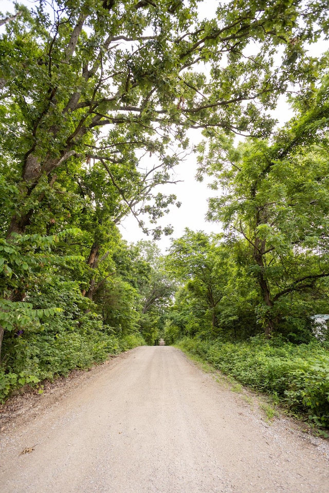 TBD Goat Rd, Niangua, MO 65713 - photo 5