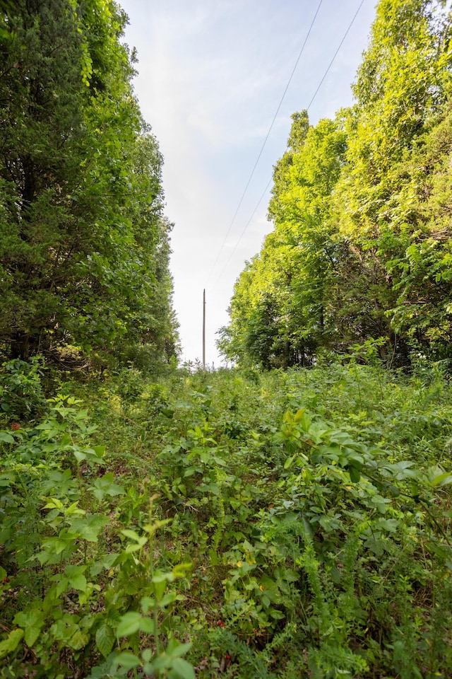 TBD Goat Rd, Niangua, MO 65713 - photo 19