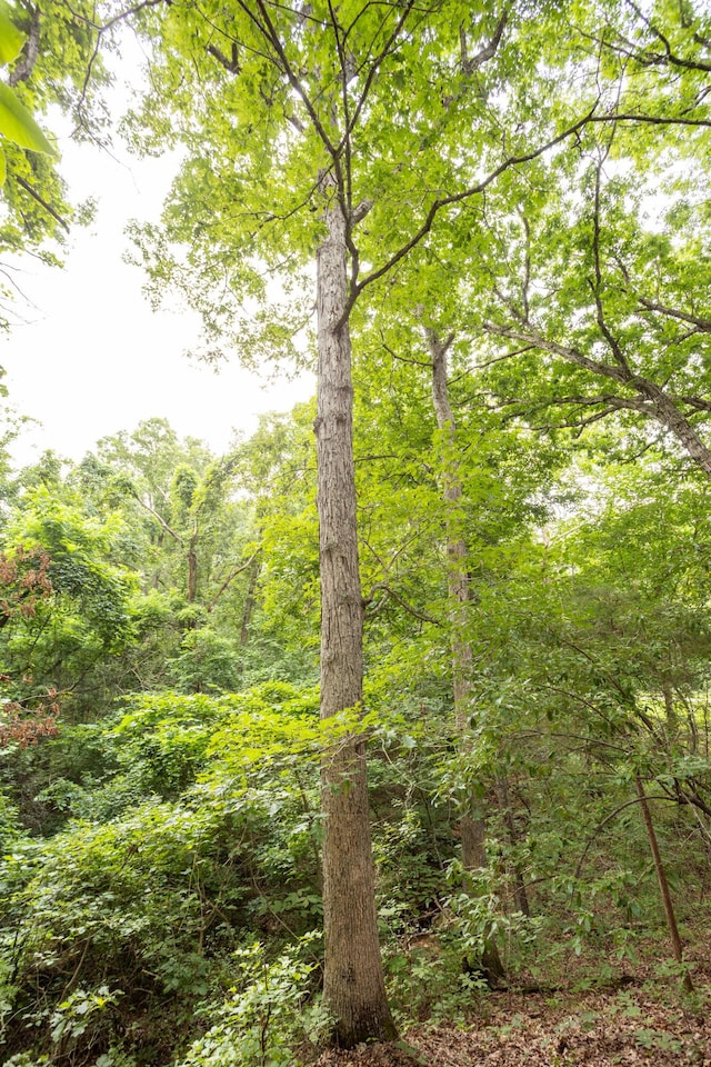 TBD Goat Rd, Niangua, MO 65713 - photo 8