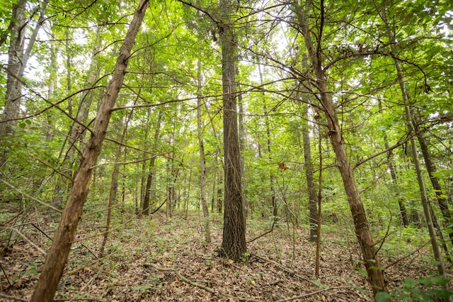 TBD Goat Rd, Niangua, MO 65713 - photo 6
