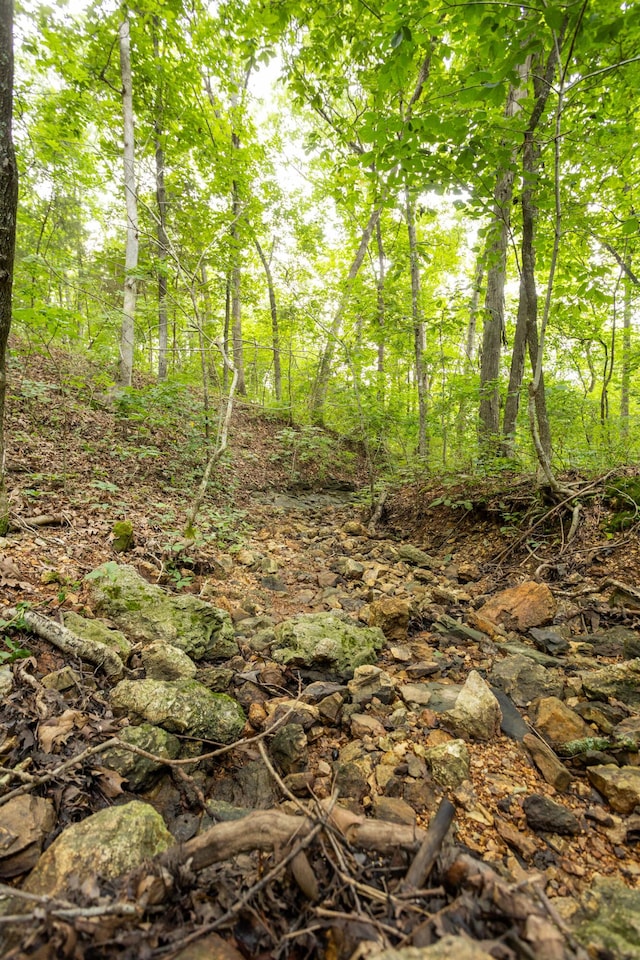 TBD Goat Rd, Niangua, MO 65713 - photo 10