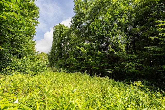 TBD Goat Rd, Niangua, MO 65713 - photo 15