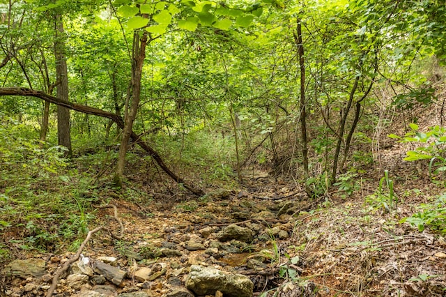 TBD Goat Rd, Niangua, MO 65713 - photo 11