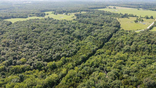 TBD Goat Rd, Niangua, MO 65713 - photo 36