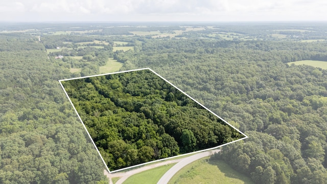 TBD Goat Rd, Niangua, MO 65713 - photo 1