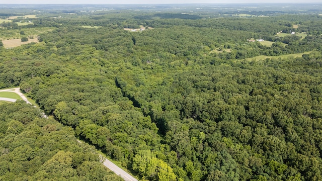 TBD Goat Rd, Niangua, MO 65713 - photo 30