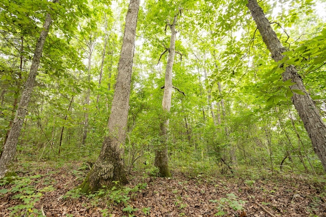 TBD Goat Rd, Niangua, MO 65713 - photo 13